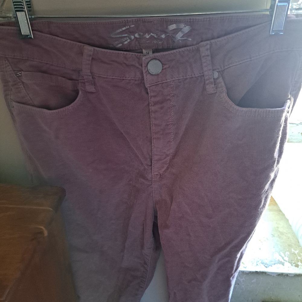 Seven7 Women's Purple Pants - Picture 1 of 16